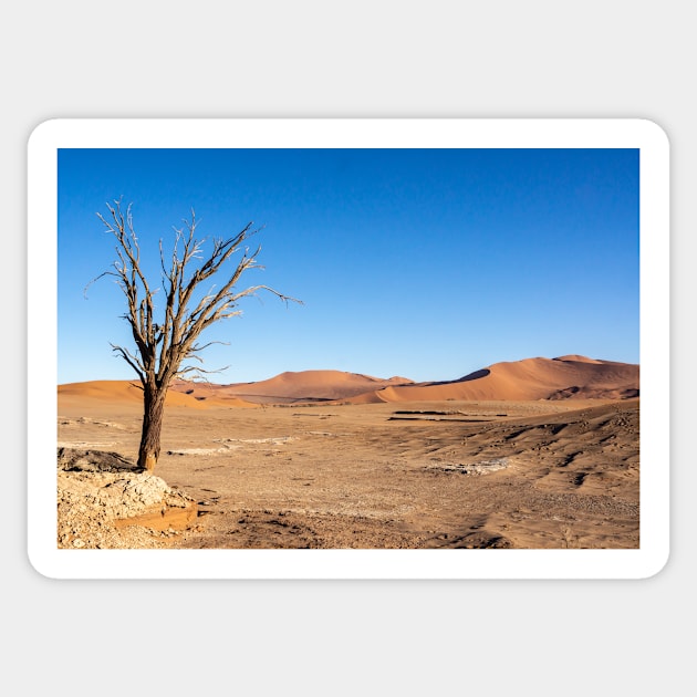 Tree in the desert. Sticker by sma1050